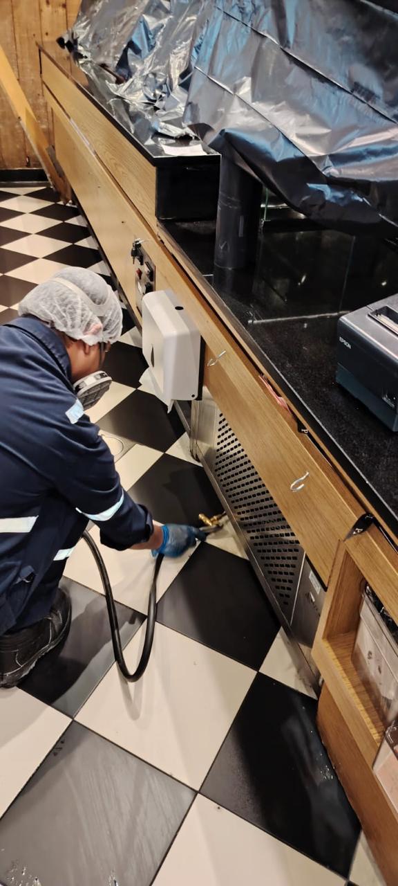 Pest Control Service 3