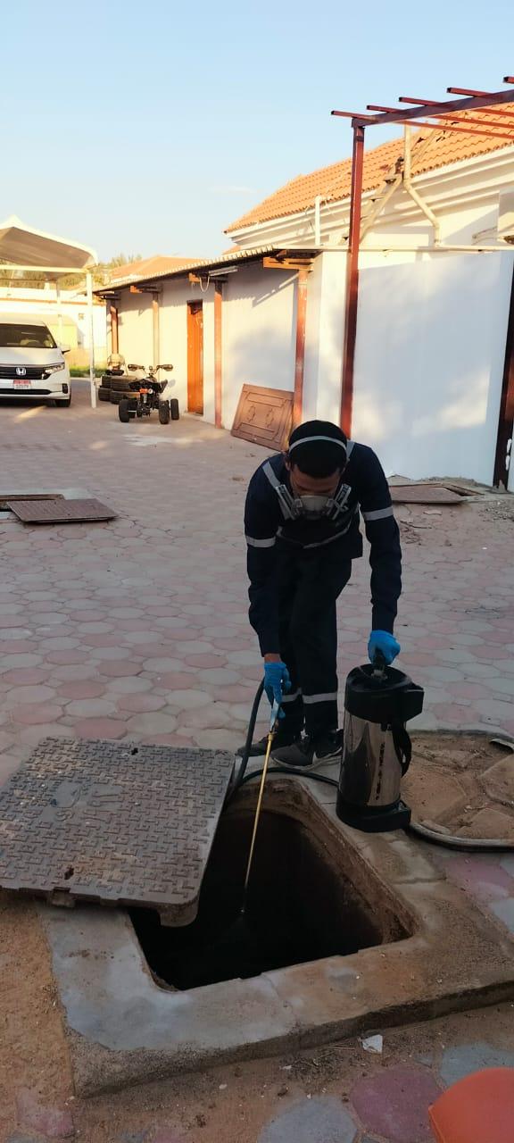 Pest Control Service 4