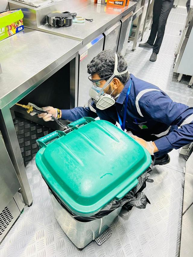 Pest Control Service 5