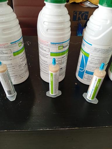 Pest Control Service 1