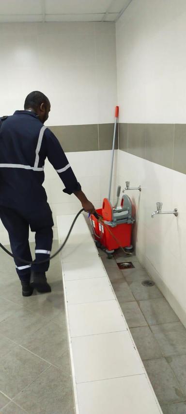 Pest Control Service 6