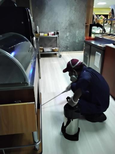 Pest Control Service 7