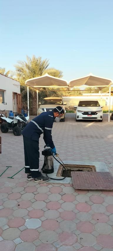 Pest Control Service 2