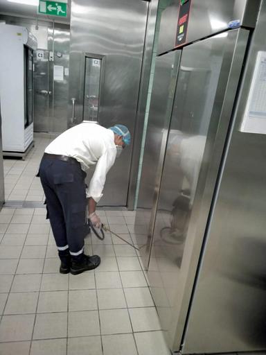 Pest Control Service 6