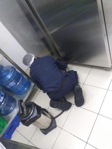 Pest Control Service 1