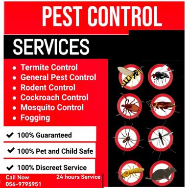 Pest Control Service 4