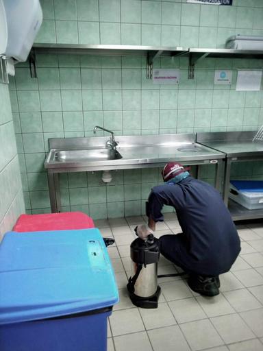 Pest Control Service 6