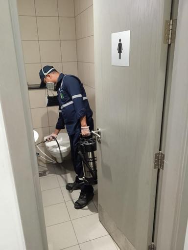 Pest Control Service 7