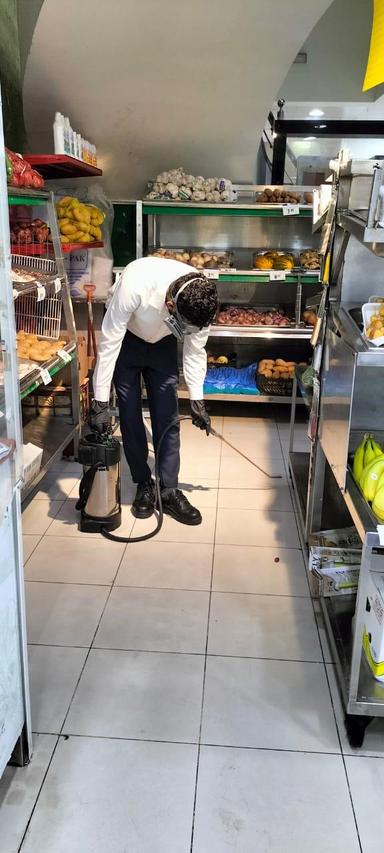 Pest Control Service 7