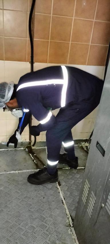 Pest Control Service 2