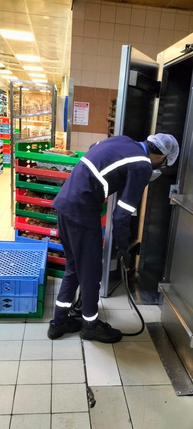 Pest Control Service 5