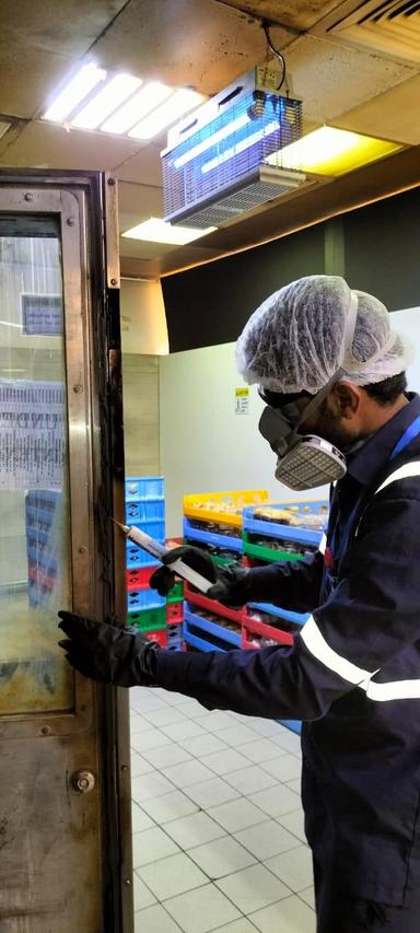 Pest Control Service 6